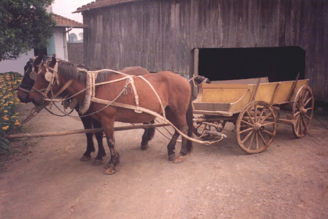 A velha carroça em foto de 1993.